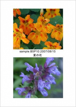 テンプレートイメージ